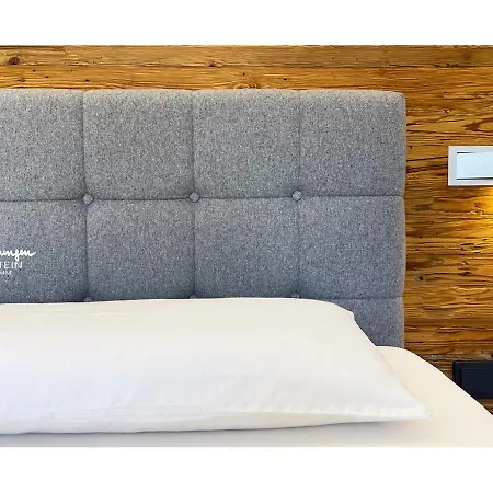 Falkenstein Hinterglemm 公寓