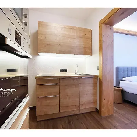 公寓 Falkenstein Hinterglemm 萨尔巴赫