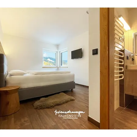 Falkenstein Hinterglemm Apartment *